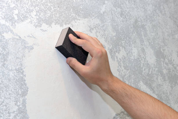 Best Environmental Consulting for Mold Prevention  in Monsey, NY